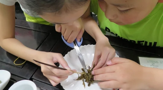 イメージ：親子で楽めるファミリープラン